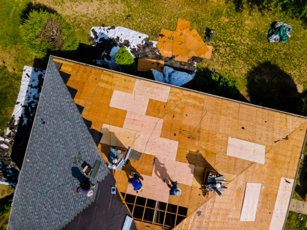 Best Storm Damage Roof Repair  in Roosevelt Gardens, FL