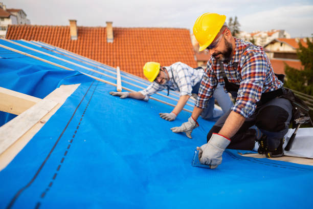 Best Roof Maintenance Services  in Roosevelt Gardens, FL